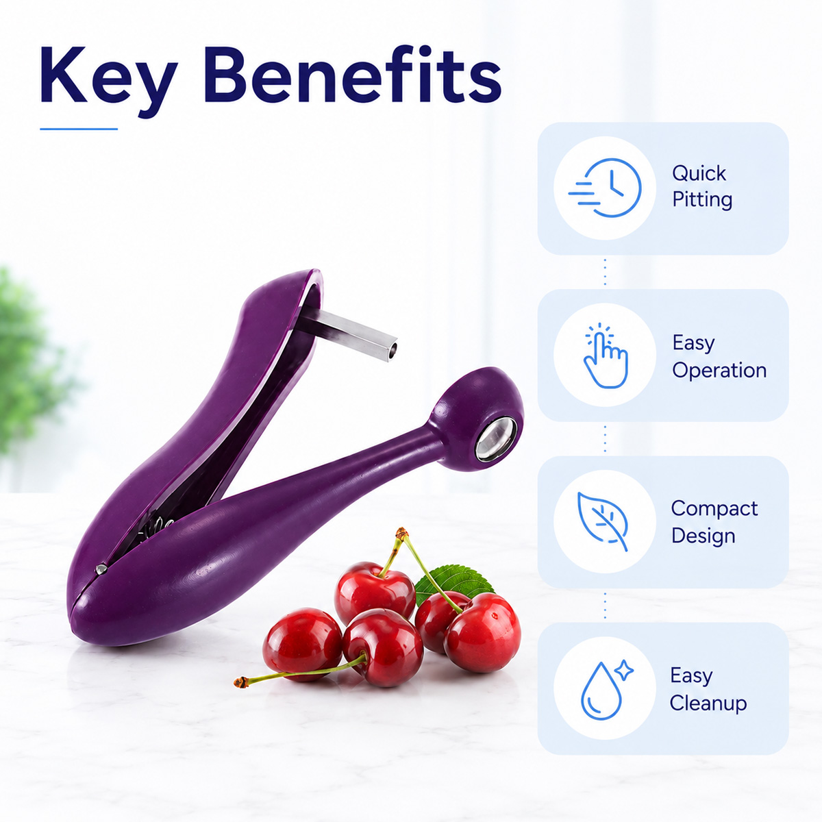 Ręczny wykrawacz do pestek wiś – Kitchen Tools For Baking recenzja i cena